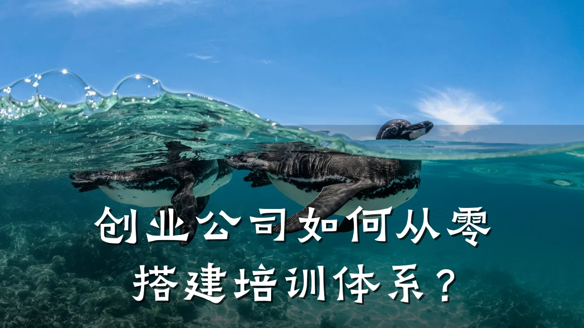 创业公司如何从零搭建培训体系?
