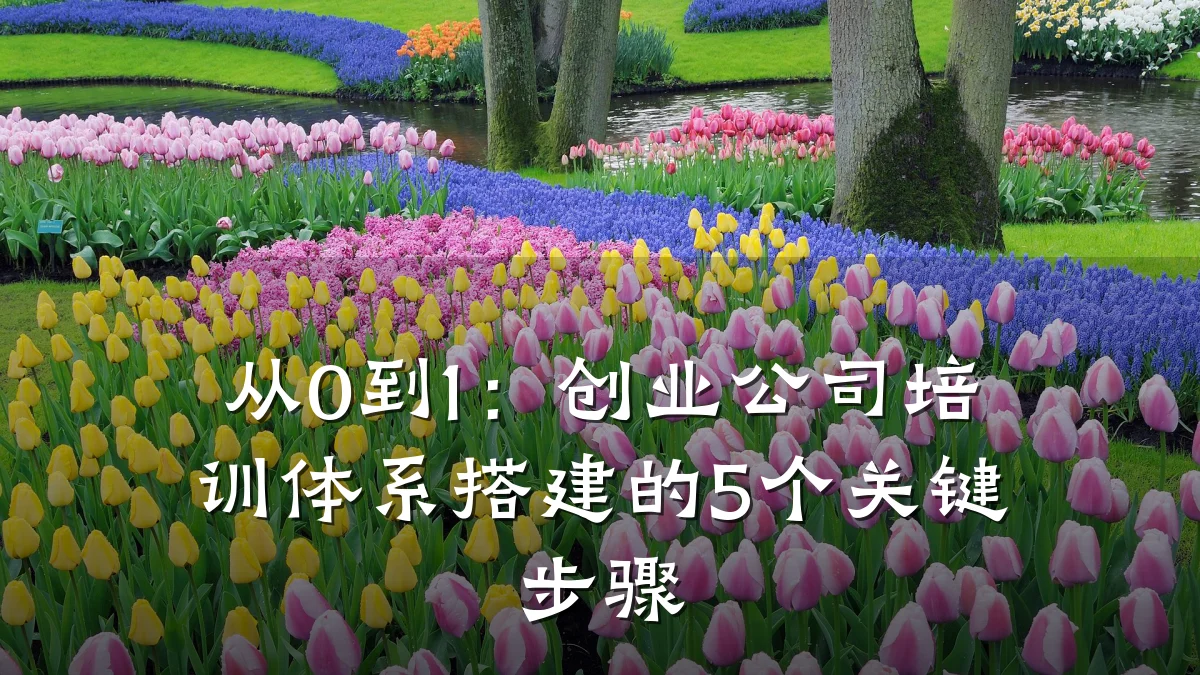 从0到1:创业公司培训体系搭建的5个关键步骤