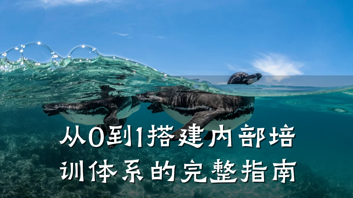 从0到1搭建内部培训体系的完整指南