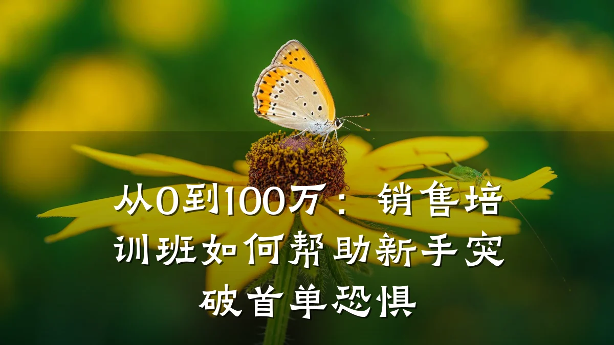 从0到100万:销售培训班如何帮助新手突破首单恐惧