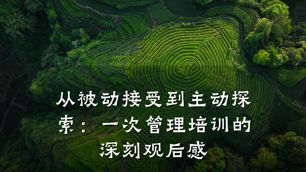 从被动接受到主动探索:一次管理培训的深刻观后感