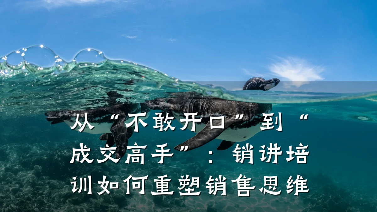从“不敢开口”到“成交高手”:销讲培训如何重塑销售思维