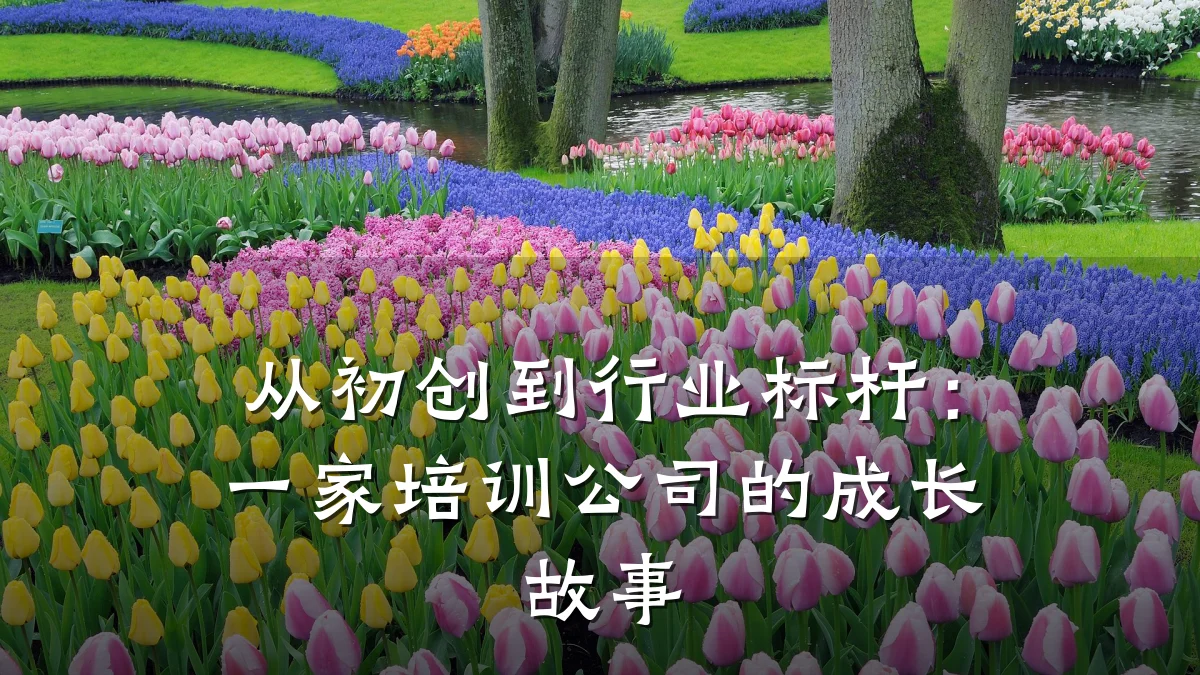 从初创到行业标杆:一家培训公司的成长故事