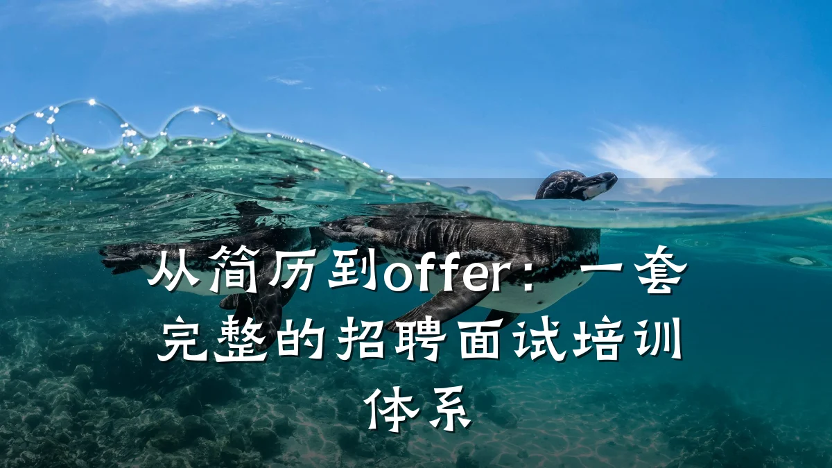 从简历到offer:一套完整的招聘面试培训体系