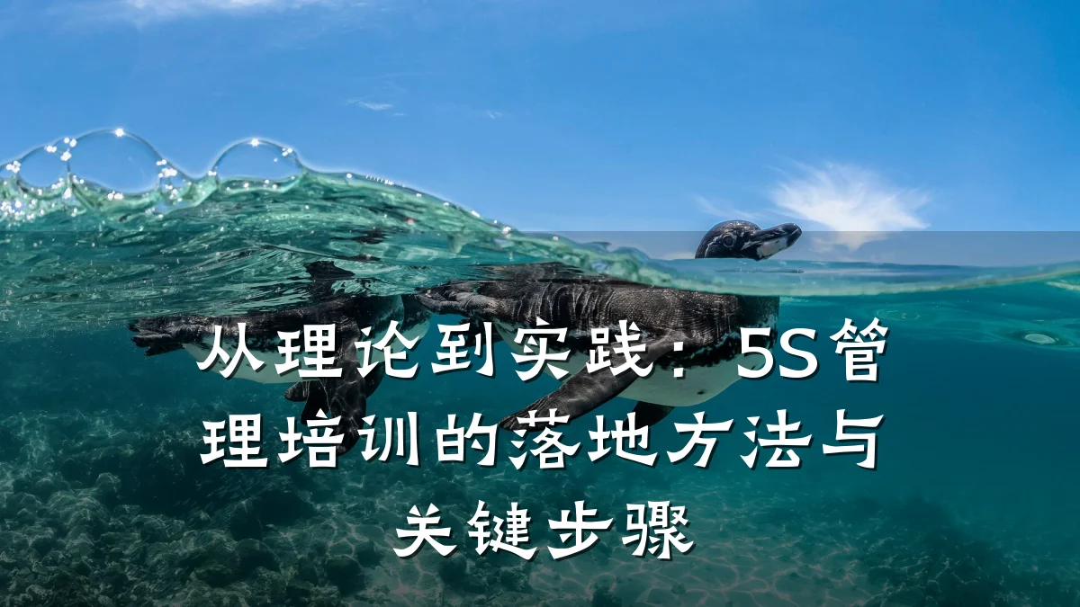 从理论到实践:5S管理培训的落地方法与关键步骤