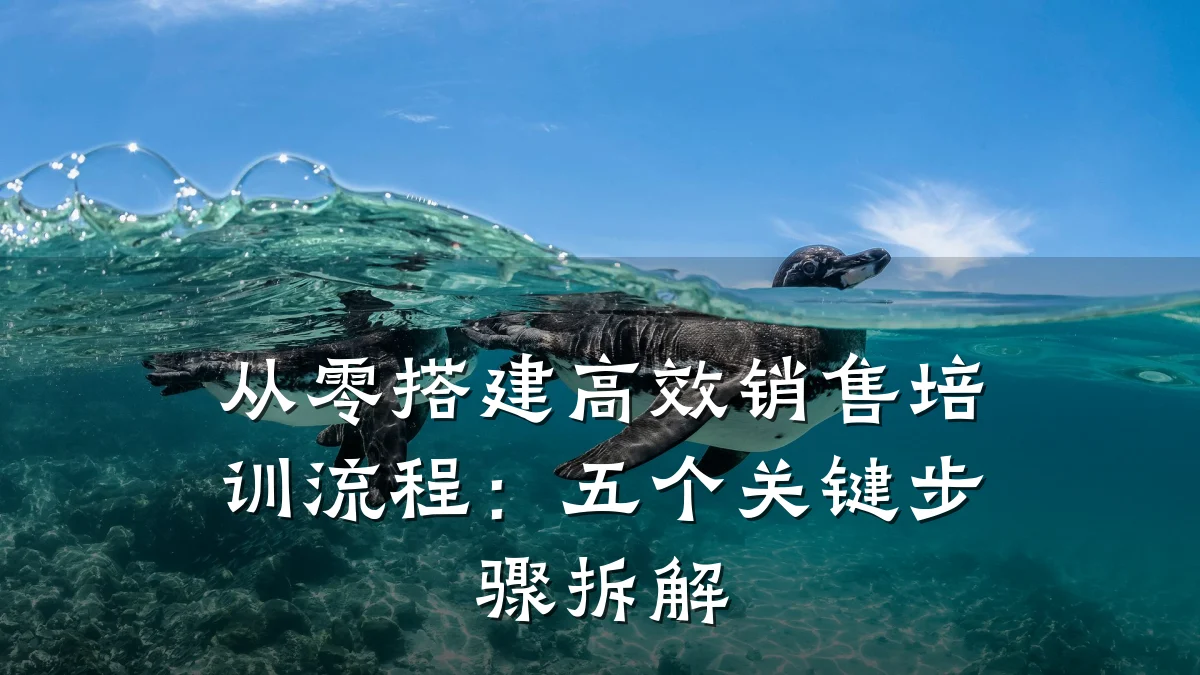 从零搭建高效销售培训流程:五个关键步骤拆解