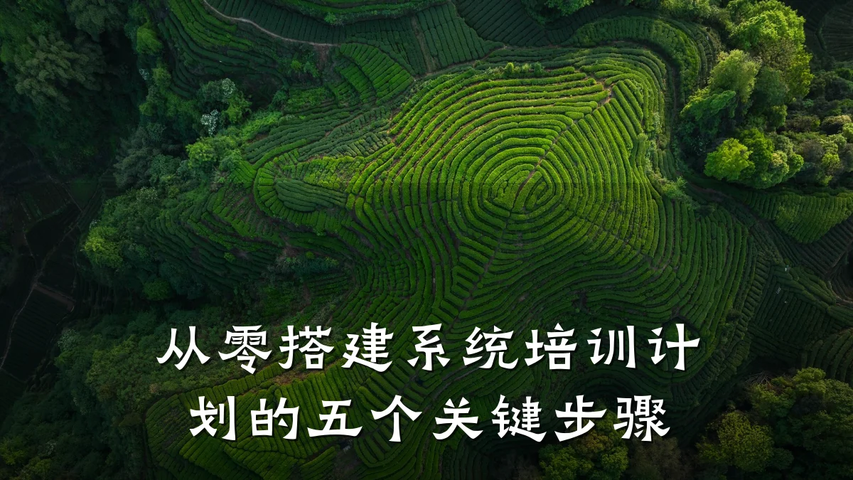 从零搭建系统培训计划的五个关键步骤