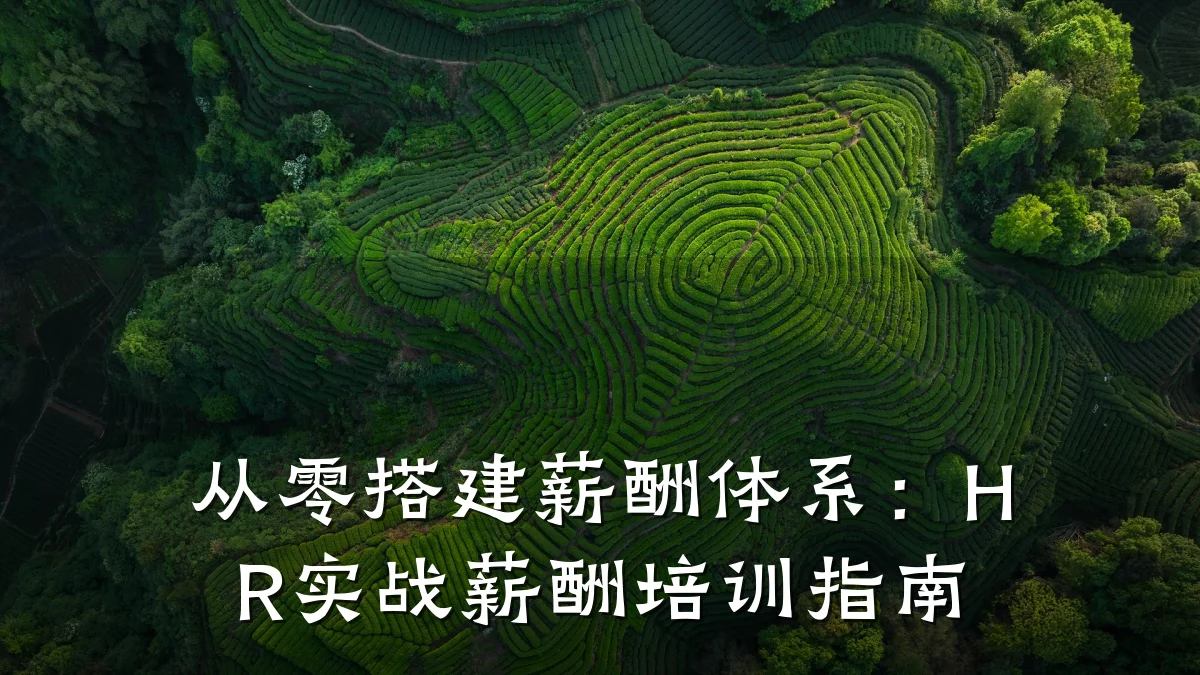 从零搭建薪酬体系:HR实战薪酬培训指南