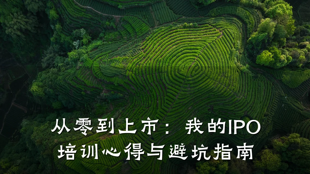 从零到上市:我的IPO培训心得与避坑指南