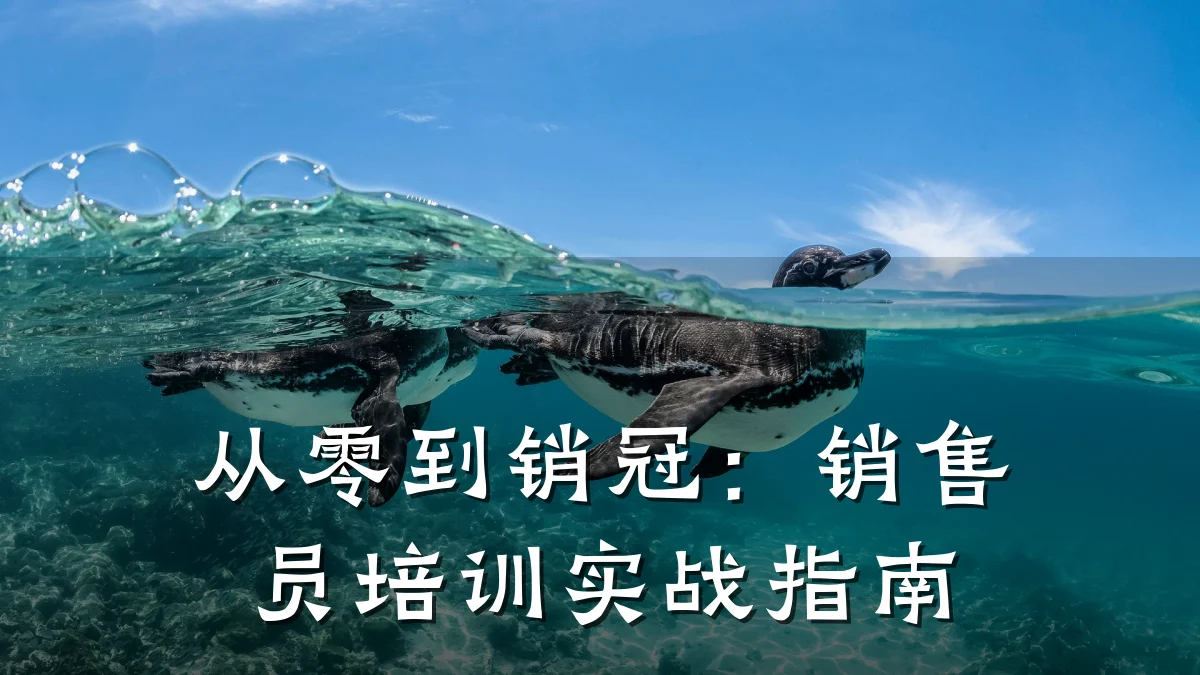 从零到销冠:销售员培训实战指南