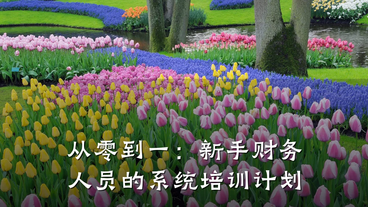 从零到一:新手财务人员的系统培训计划
