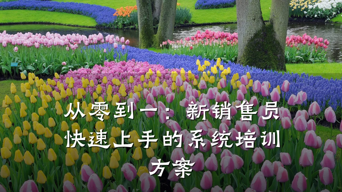 从零到一:新销售员快速上手的系统培训方案