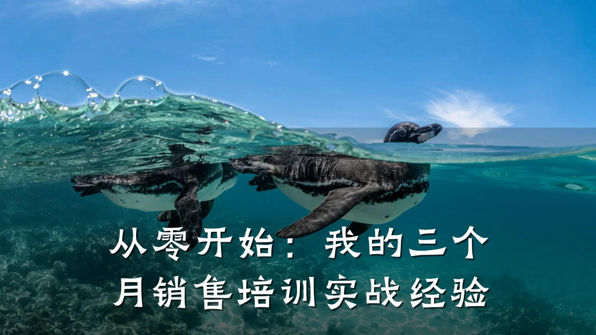 从零开始:我的三个月销售培训实战经验