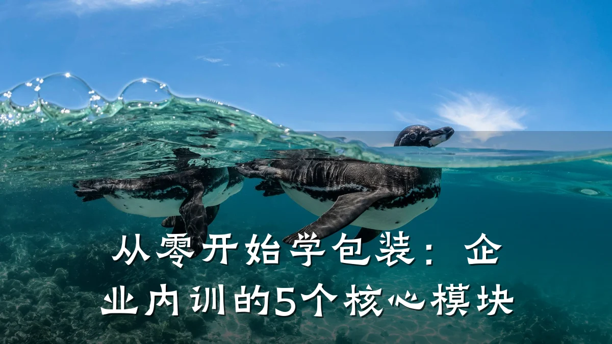 从零开始学包装:企业内训的5个核心模块