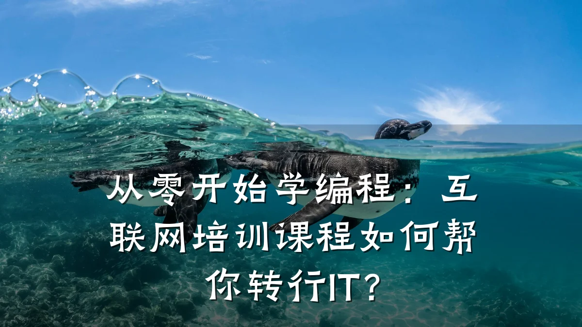 从零开始学编程:互联网培训课程如何帮你转行IT?