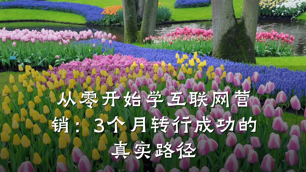 从零开始学互联网营销:3个月转行成功的真实路径
