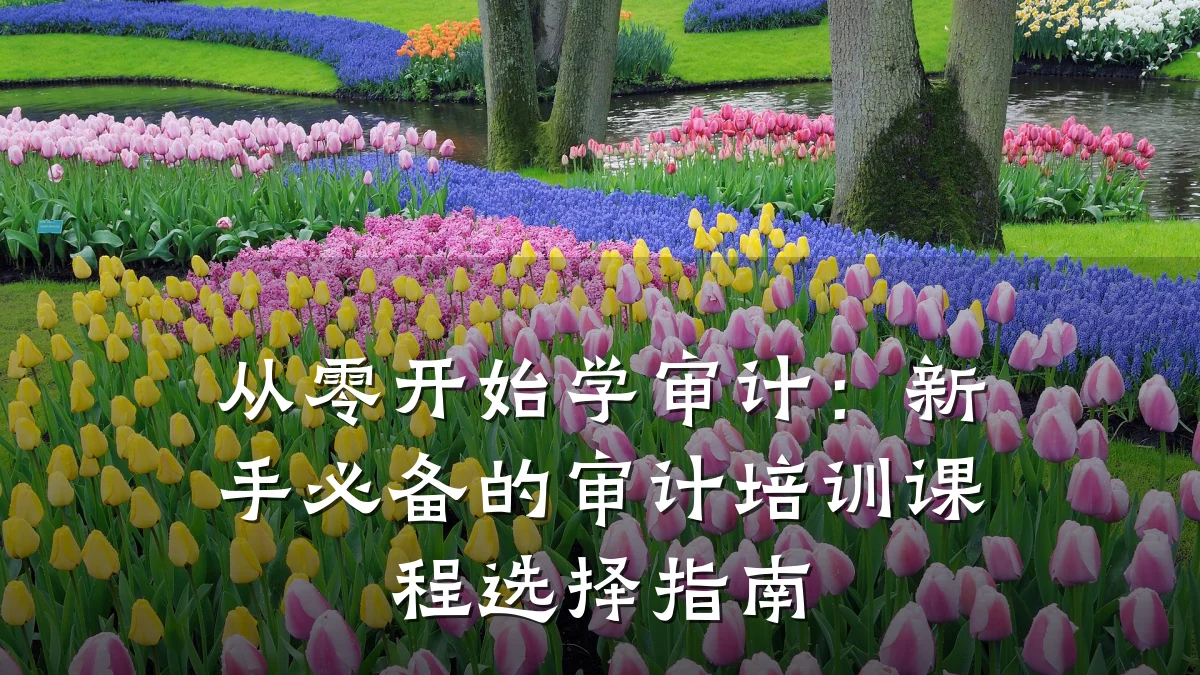 从零开始学审计:新手必备的审计培训课程选择指南