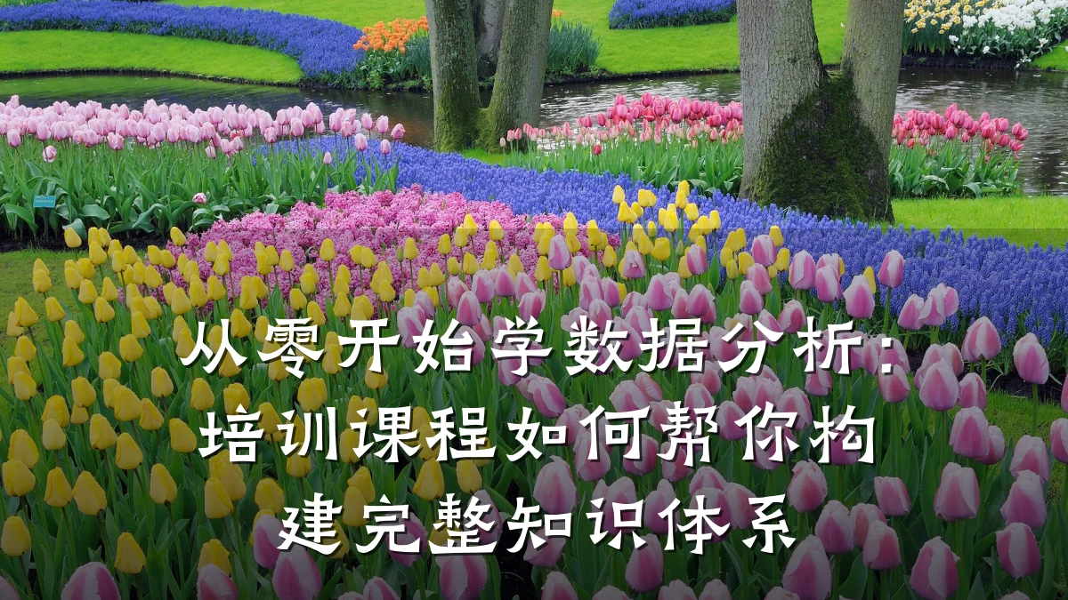 从零开始学数据分析:培训课程如何帮你构建完整知识体系