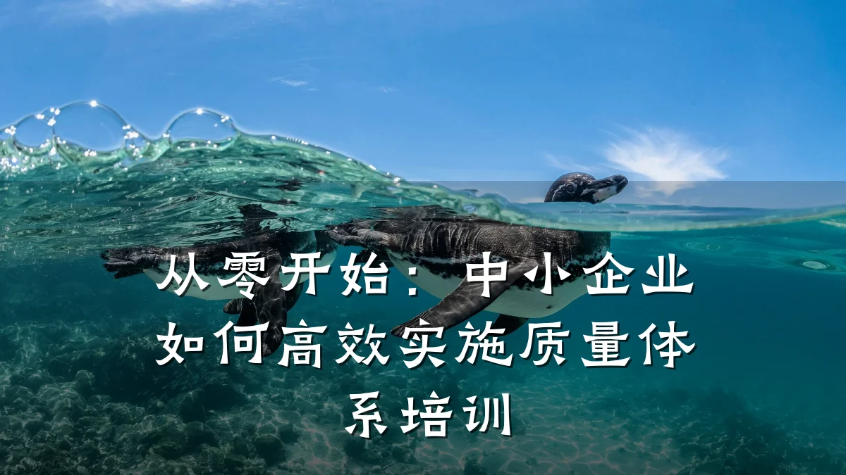 从零开始:中小企业如何高效实施质量体系培训