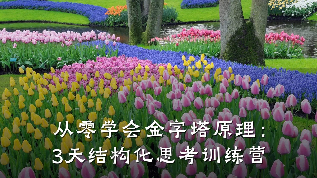 从零学会金字塔原理:3天结构化思考训练营