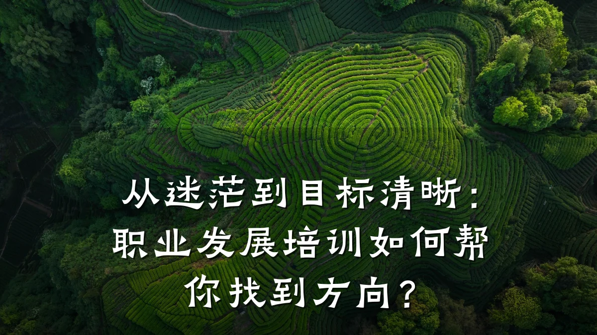 从迷茫到目标清晰:职业发展培训如何帮你找到方向?