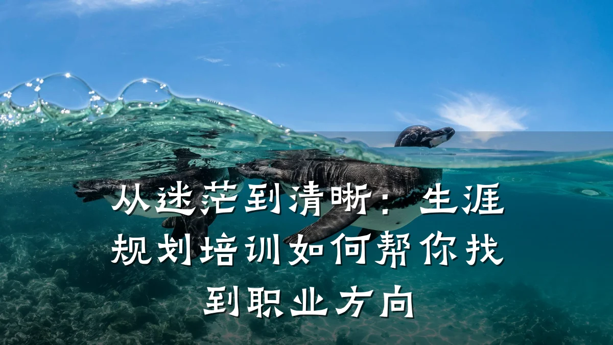 从迷茫到清晰:生涯规划培训如何帮你找到职业方向