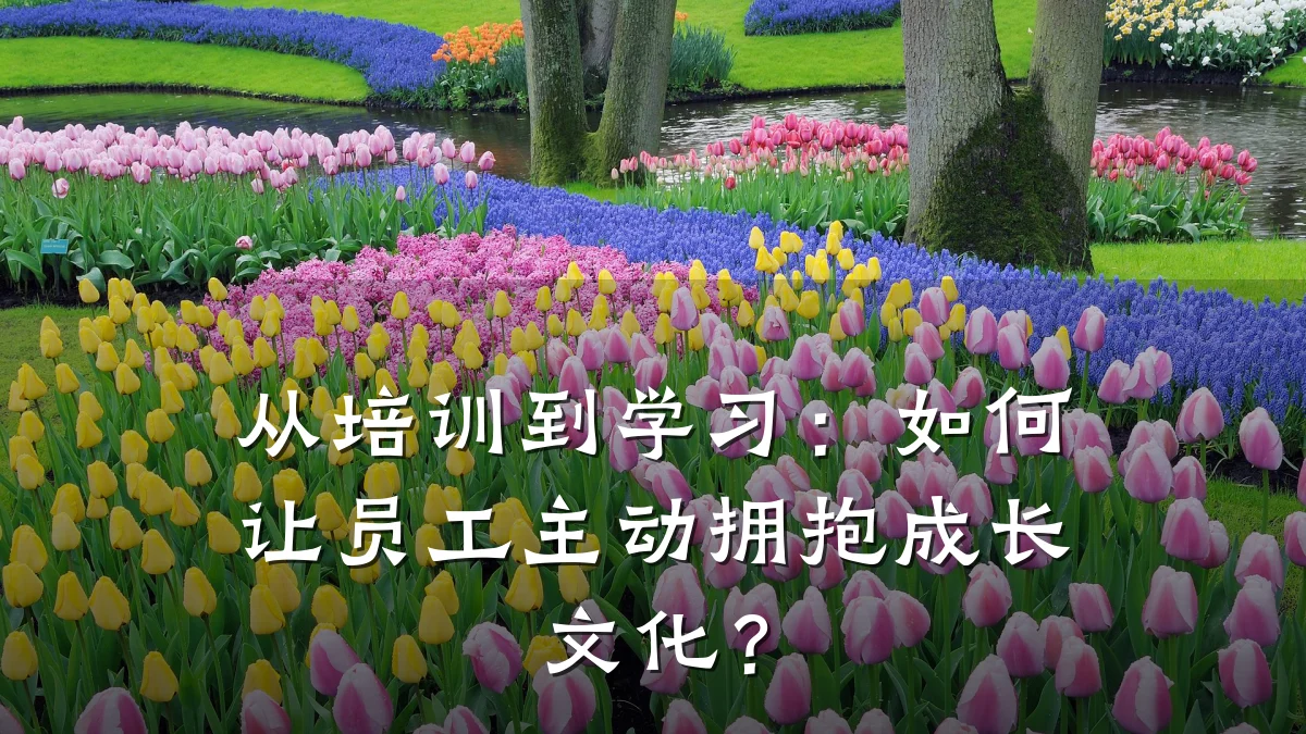 从培训到学习:如何让员工主动拥抱成长文化?