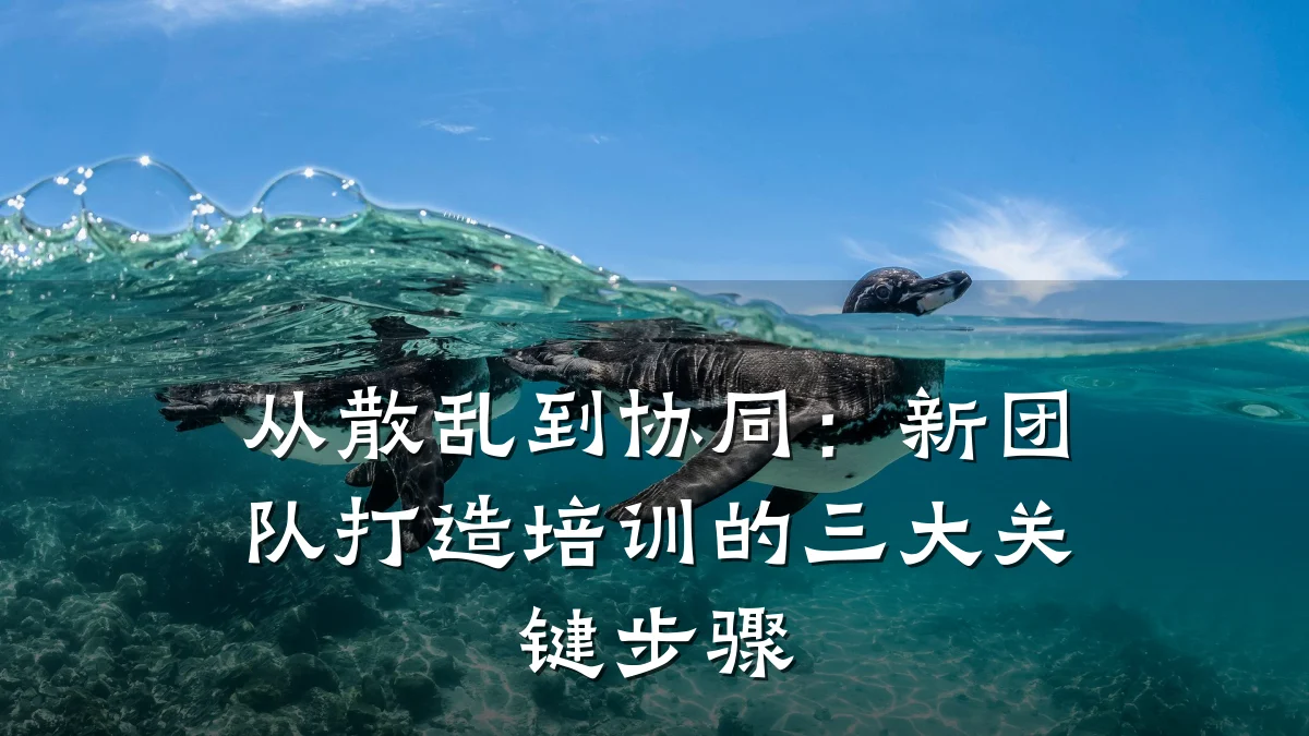 从散乱到协同:新团队打造培训的三大关键步骤