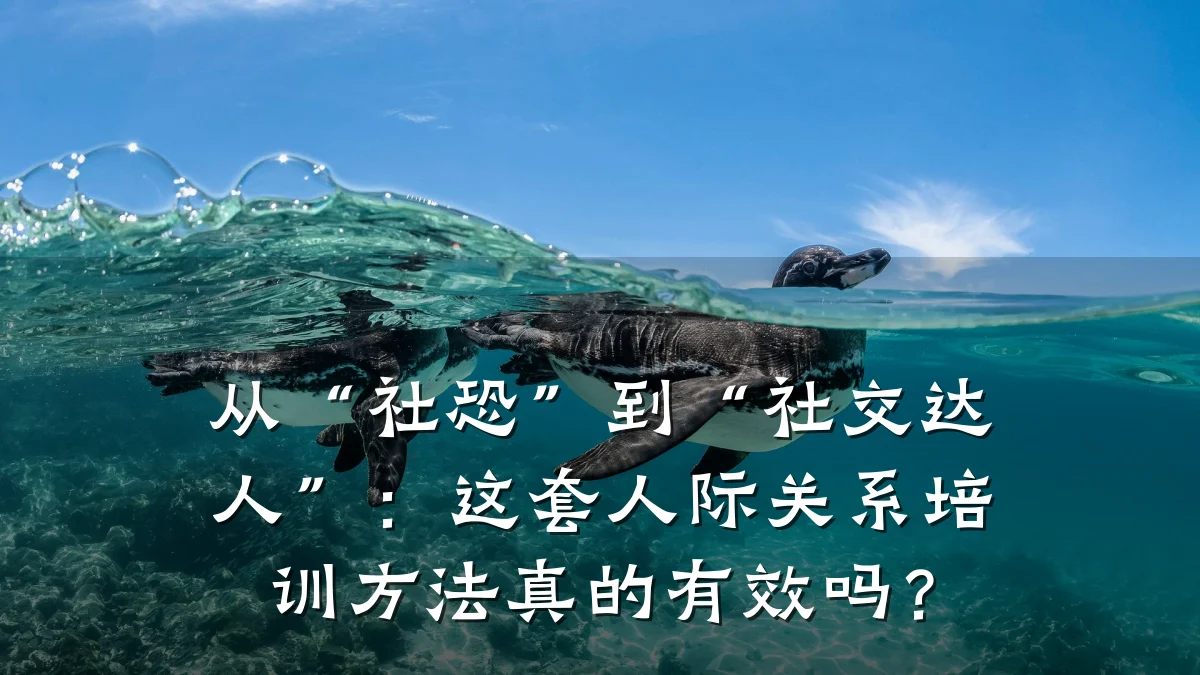 从“社恐”到“社交达人”:这套人际关系培训方法真的有效吗?