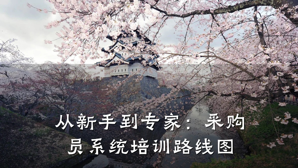 从新手到专家:采购员系统培训路线图