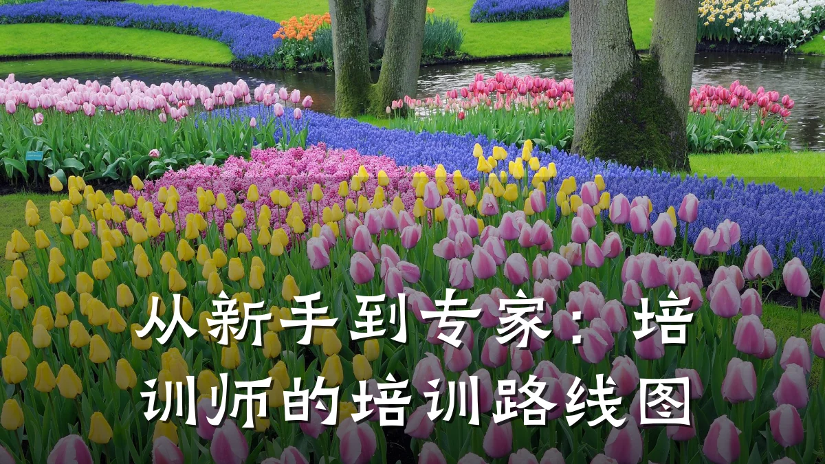 从新手到专家:培训师的培训路线图