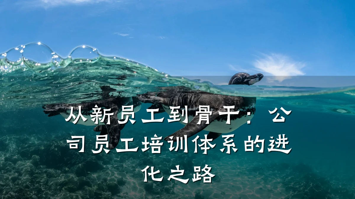 从新员工到骨干:公司员工培训体系的进化之路