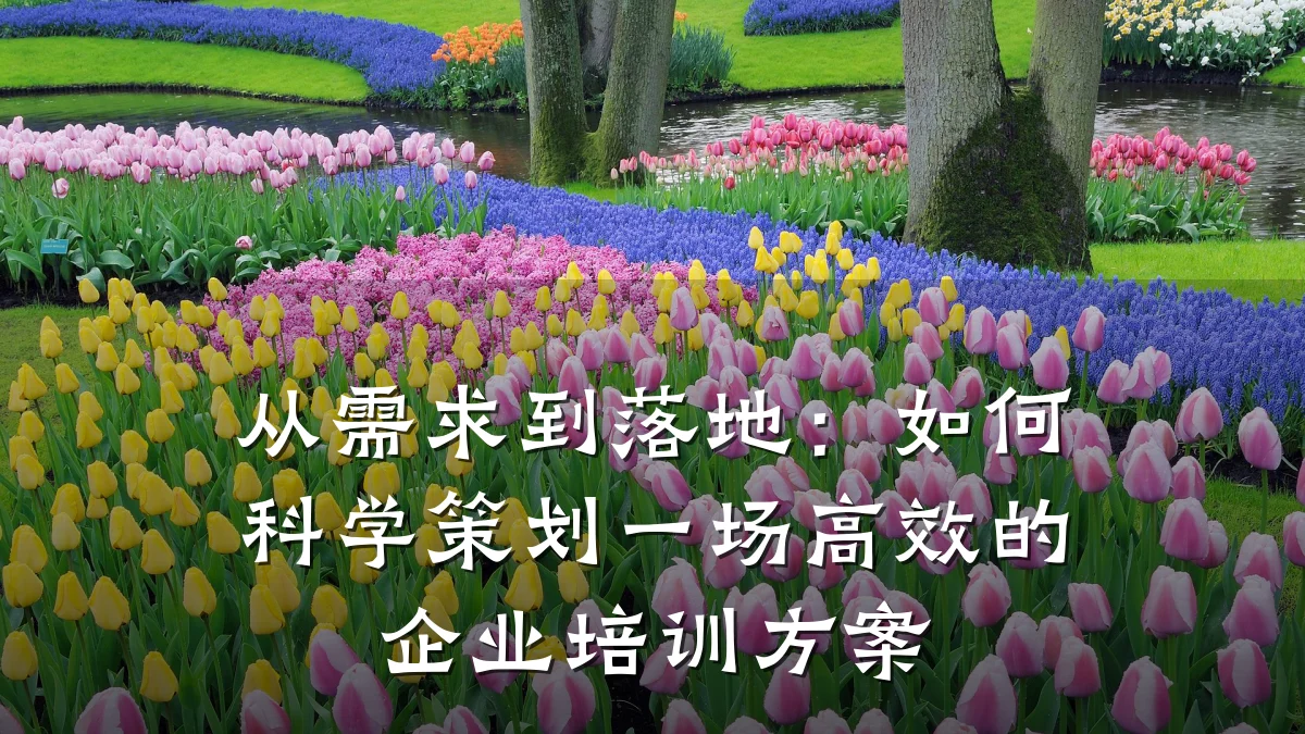 从需求到落地:如何科学策划一场高效的企业培训方案