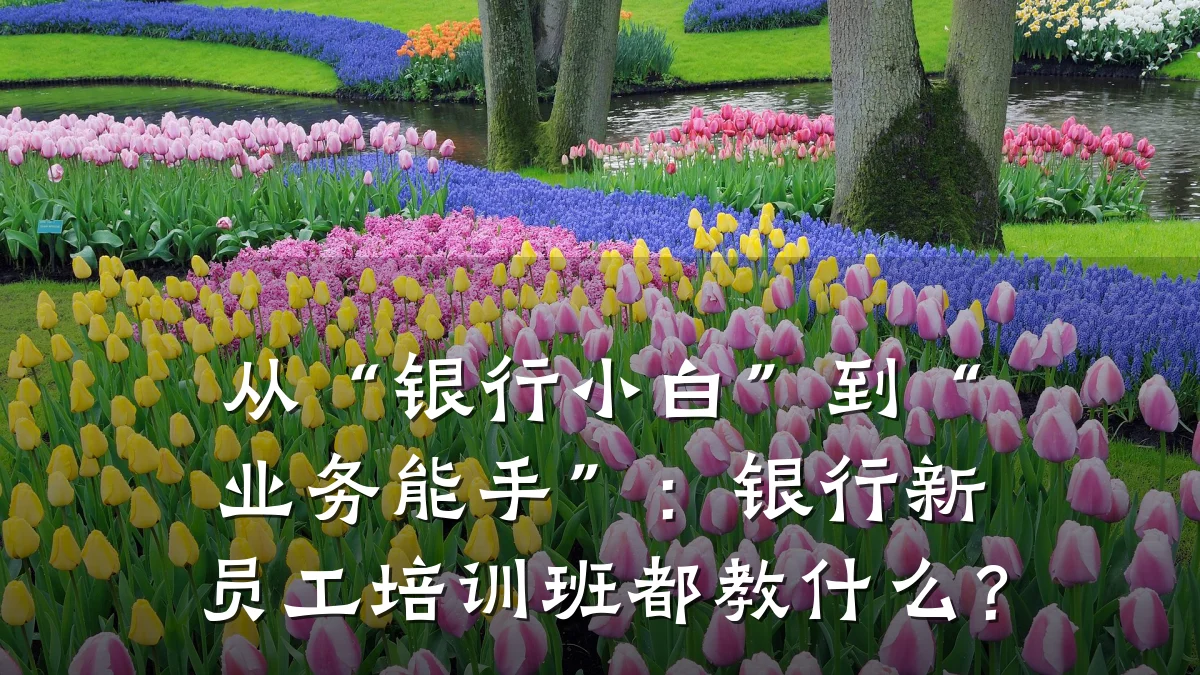 从“银行小白”到“业务能手”:银行新员工培训班都教什么?