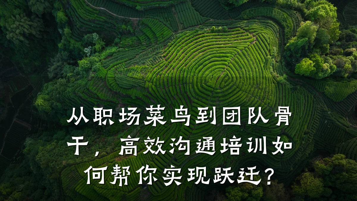 从职场菜鸟到团队骨干,高效沟通培训如何帮你实现跃迁?