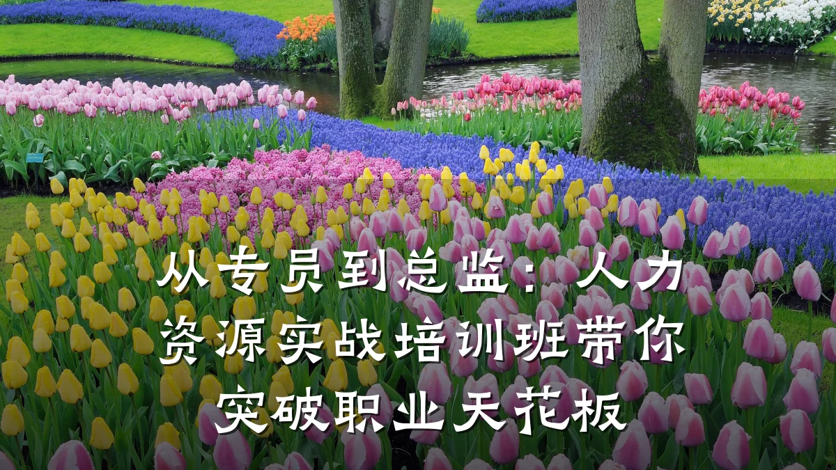 从专员到总监:人力资源实战培训班带你突破职业天花板