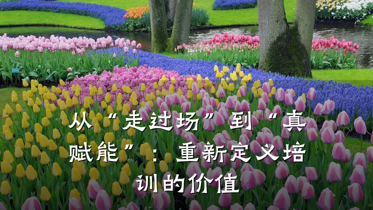 从“走过场”到“真赋能”:重新定义培训的价值