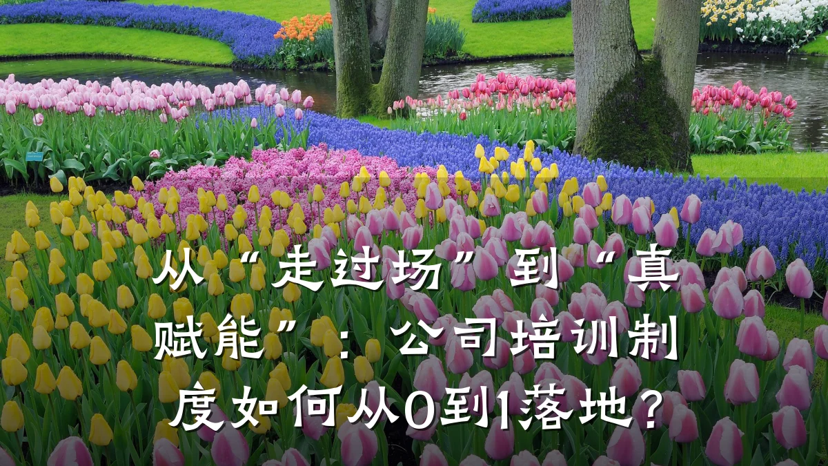 从“走过场”到“真赋能”:公司培训制度如何从0到1落地?