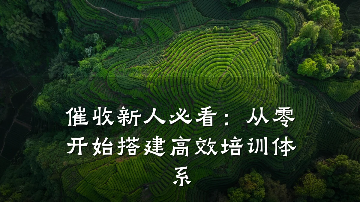 催收新人必看：从零开始搭建高效培训体系