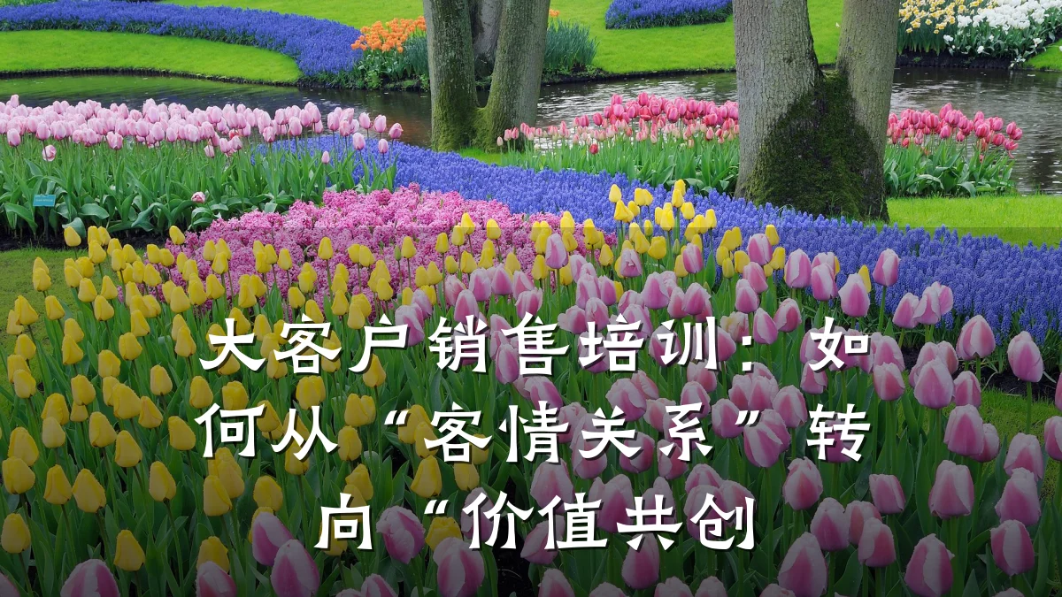 大客户销售培训:如何从“客情关系”转向“价值共创