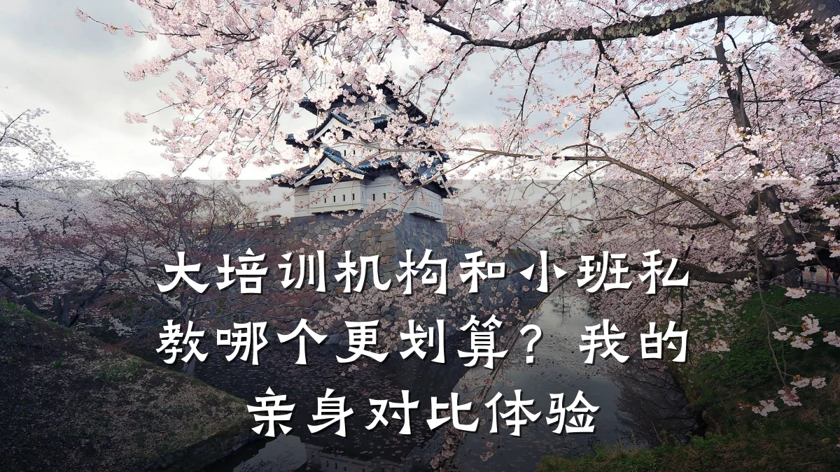 大培训机构和小班私教哪个更划算?我的亲身对比体验