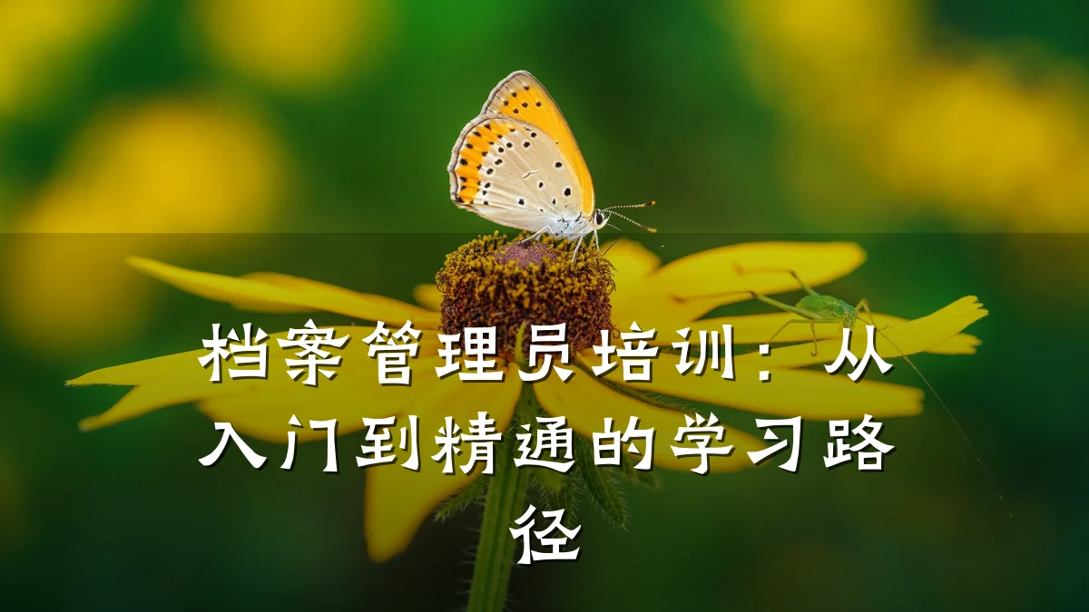 档案管理员培训:从入门到精通的学习路径