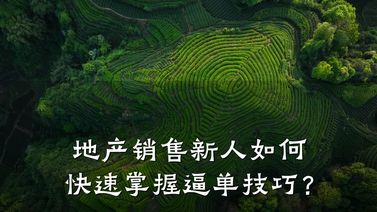 地产销售新人如何快速掌握逼单技巧?