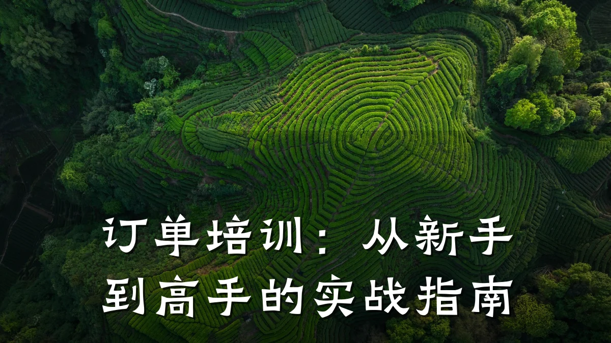 订单培训:从新手到高手的实战指南