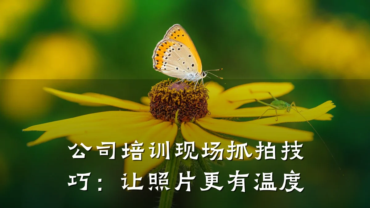 公司培训现场抓拍技巧:让照片更有温度