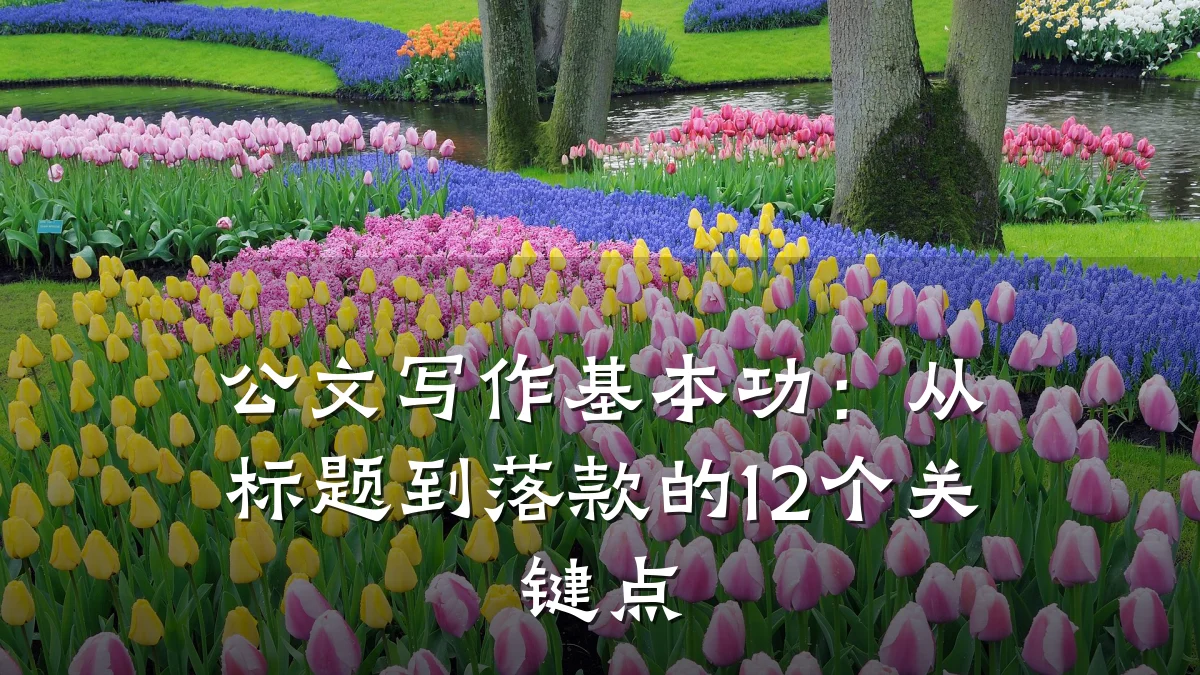 公文写作基本功:从标题到落款的12个关键点