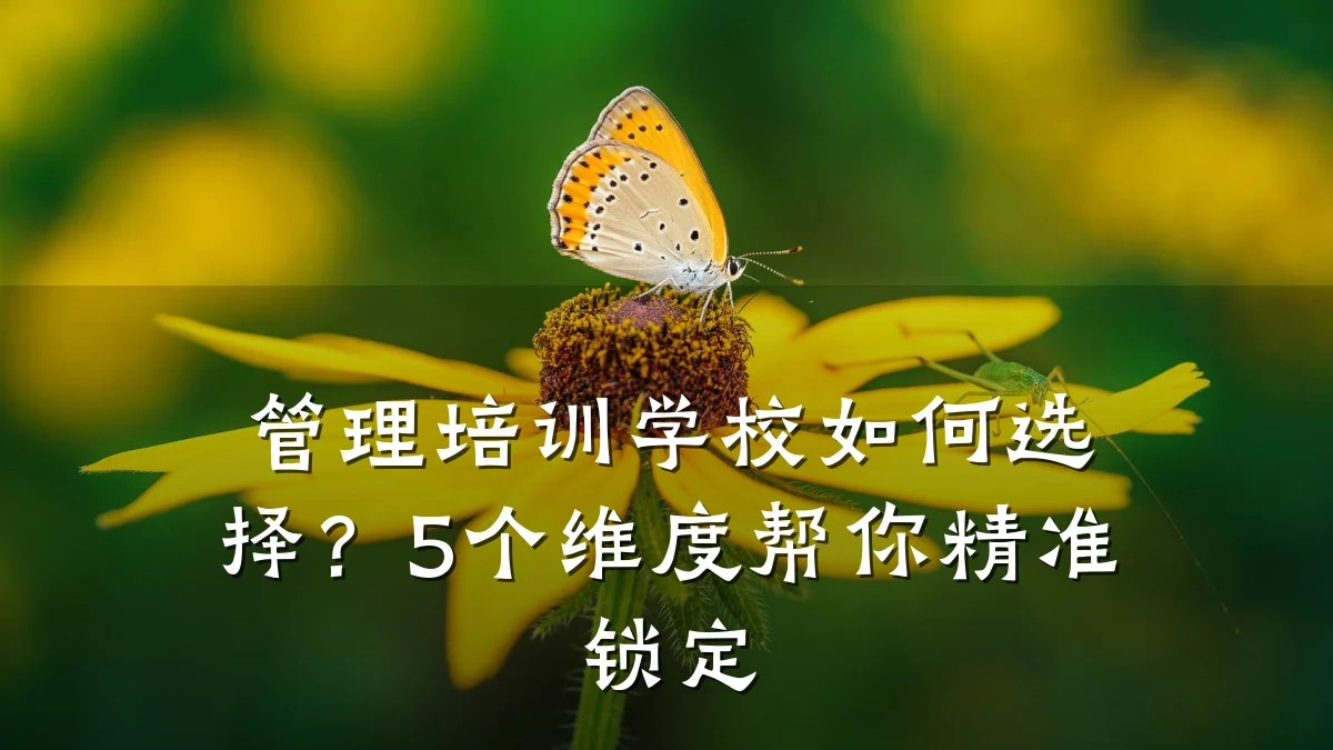 管理培训学校如何选择?5个维度帮你精准锁定