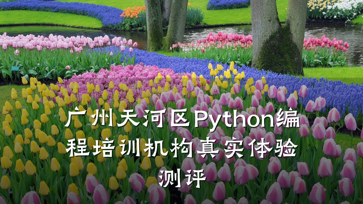 广州天河区Python编程培训机构真实体验测评