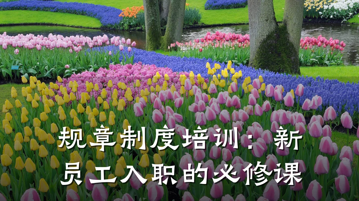规章制度培训:新员工入职的必修课