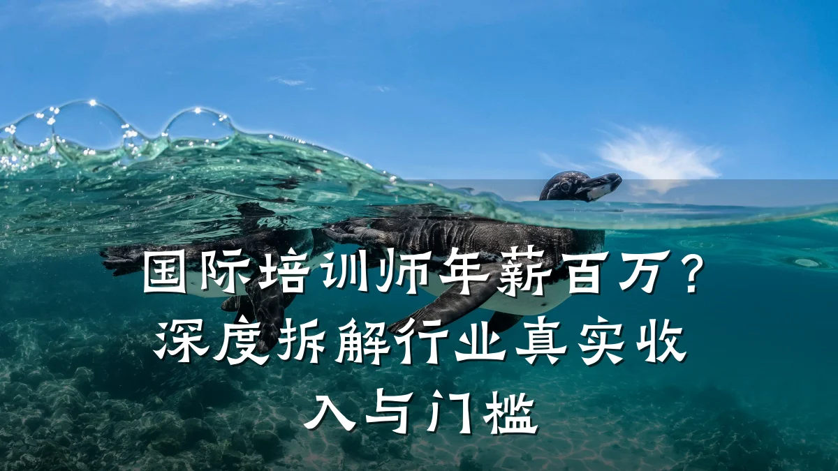 国际培训师年薪百万?深度拆解行业真实收入与门槛